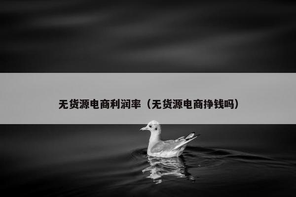 无货源电商利润率（无货源电商挣钱吗）