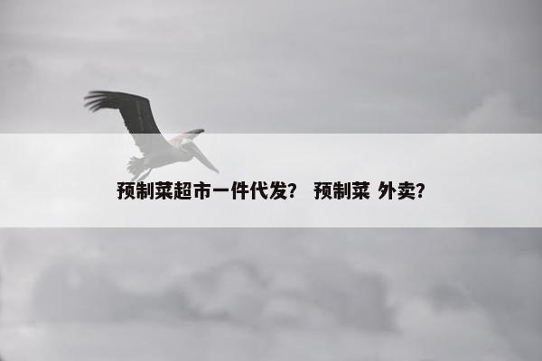 预制菜超市一件代发？ 预制菜 外卖？