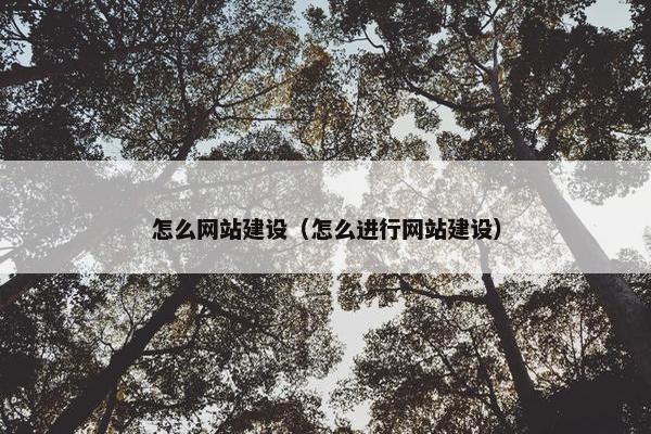 怎么网站建设（怎么进行网站建设）
