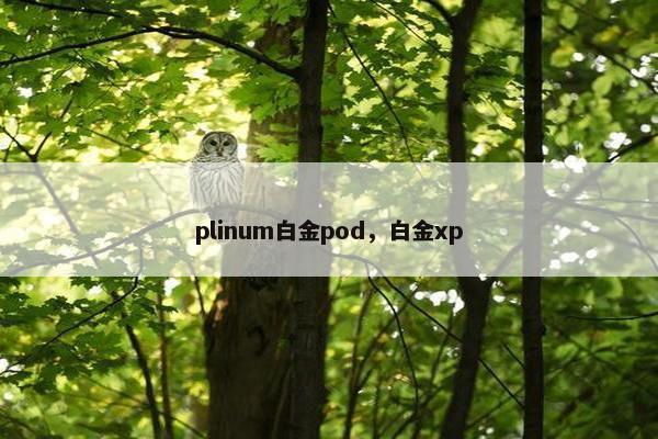 plinum白金pod，白金xp