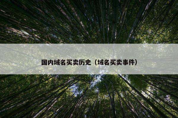 国内域名买卖历史（域名买卖事件）