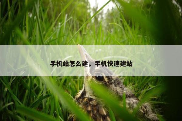 手机站怎么建，手机快速建站