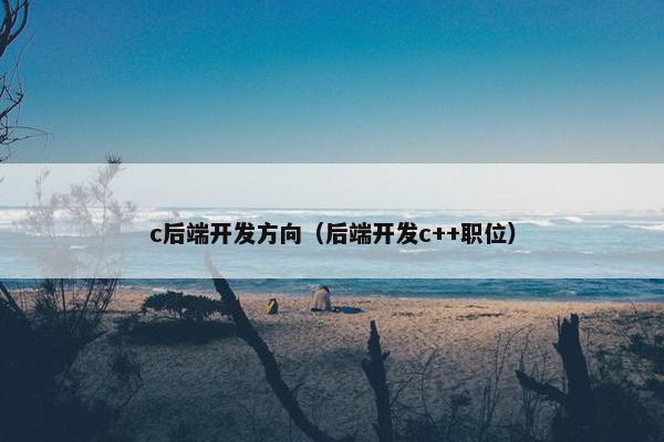 c后端开发方向（后端开发c++职位）