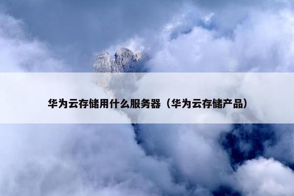 华为云存储用什么服务器（华为云存储产品）