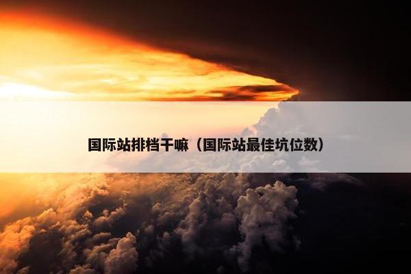 国际站排档干嘛（国际站最佳坑位数）