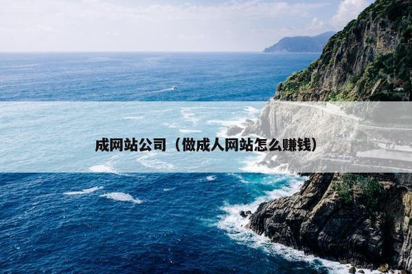 成网站公司（做成人网站怎么赚钱）