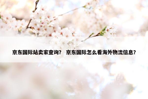 京东国际站卖家查询？ 京东国际怎么看海外物流信息？