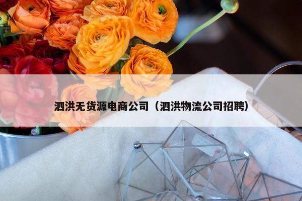 泗洪无货源电商公司（泗洪物流公司招聘）