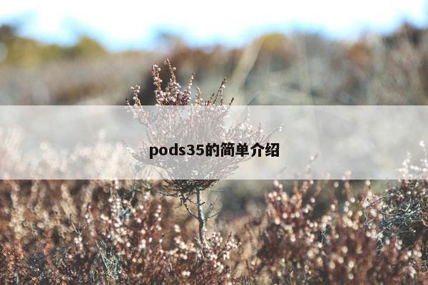pods35的简单介绍