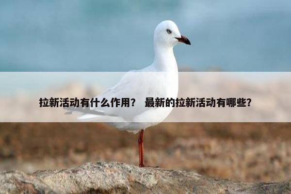 拉新活动有什么作用？ 最新的拉新活动有哪些？