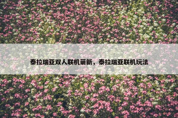 泰拉瑞亚双人联机萌新，泰拉瑞亚联机玩法