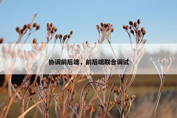 协调前后端，前后端联合调试