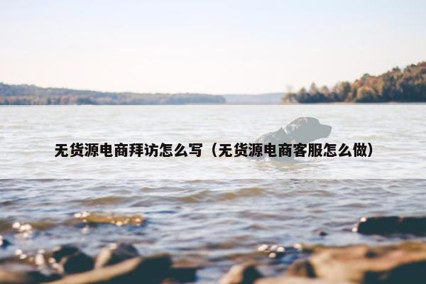 无货源电商拜访怎么写（无货源电商客服怎么做）
