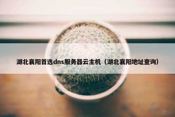 湖北襄阳首选dns服务器云主机（湖北襄阳地址查询）