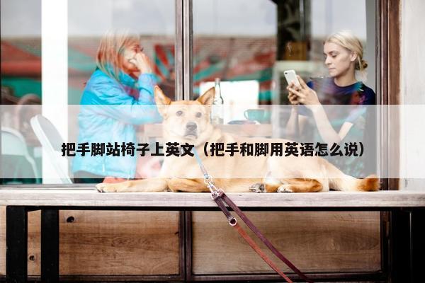 把手脚站椅子上英文（把手和脚用英语怎么说）