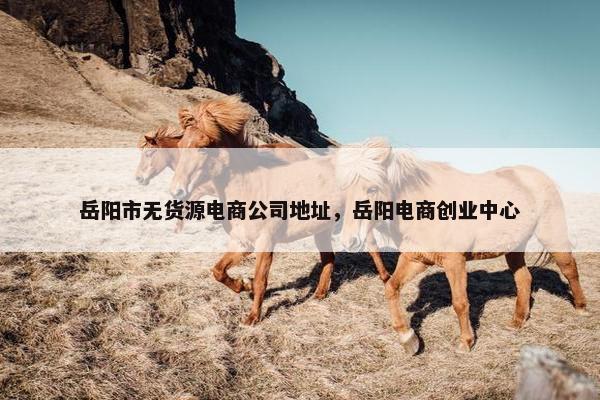 岳阳市无货源电商公司地址，岳阳电商创业中心