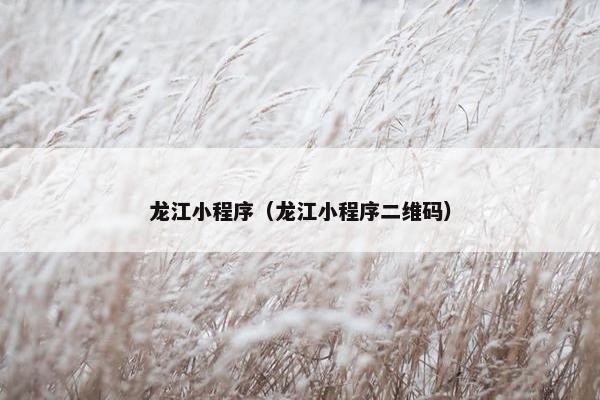 龙江小程序（龙江小程序二维码）