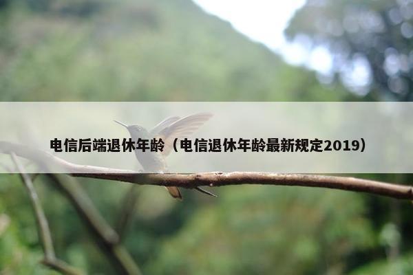 电信后端退休年龄（电信退休年龄最新规定2019）