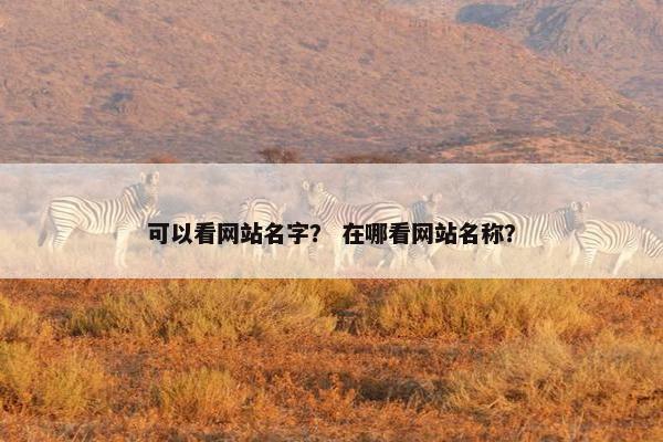 可以看网站名字？ 在哪看网站名称？