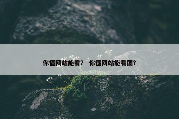 你懂网站能看？ 你懂网站能看图？