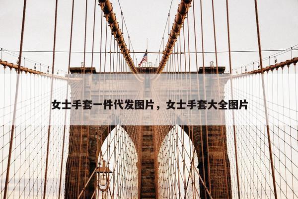 女士手套一件代发图片，女士手套大全图片
