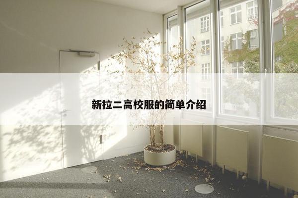 新拉二高校服的简单介绍