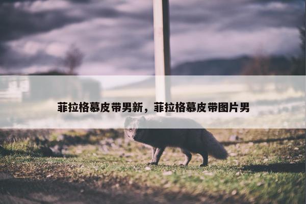 菲拉格慕皮带男新，菲拉格慕皮带图片男