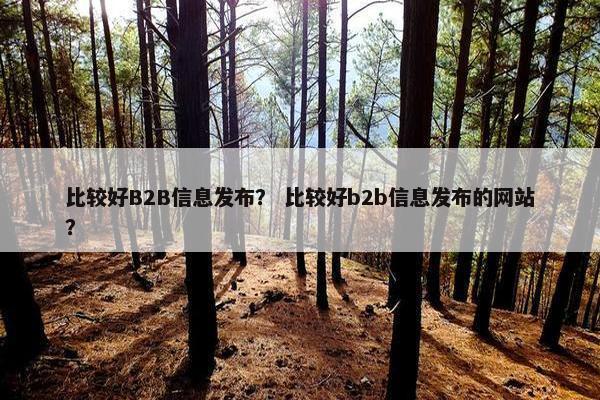 比较好B2B信息发布？ 比较好b2b信息发布的网站？