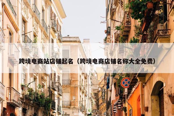 跨境电商站店铺起名（跨境电商店铺名称大全免费）