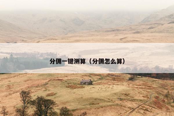 分佣一键测算（分佣怎么算）