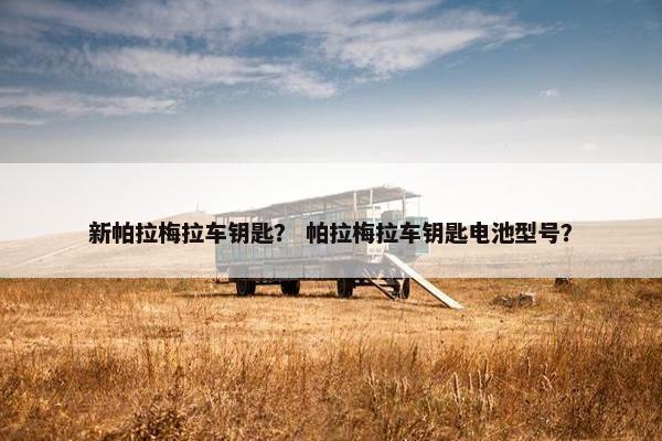 新帕拉梅拉车钥匙？ 帕拉梅拉车钥匙电池型号？