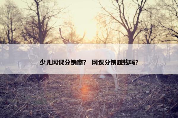 少儿网课分销商？ 网课分销赚钱吗？