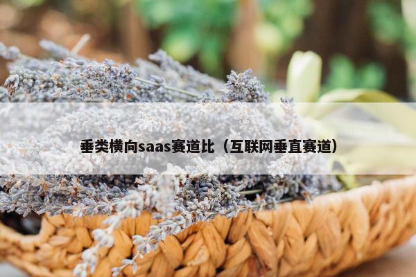 垂类横向saas赛道比（互联网垂直赛道）