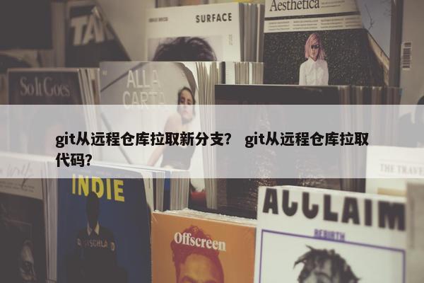 git从远程仓库拉取新分支？ git从远程仓库拉取代码？