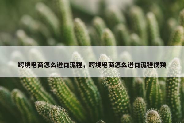 跨境电商怎么进口流程，跨境电商怎么进口流程视频