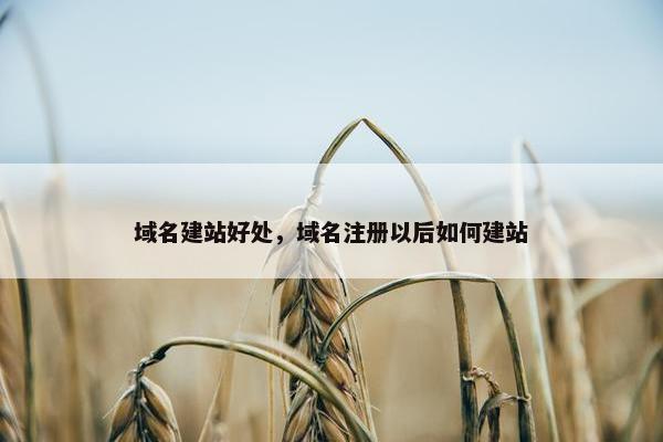 域名建站好处，域名注册以后如何建站