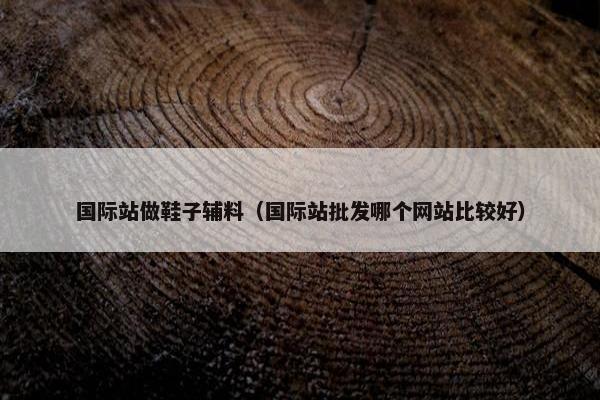 国际站做鞋子辅料（国际站批发哪个网站比较好）