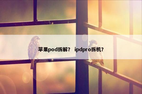 苹果pod拆解？ ipdpro拆机？