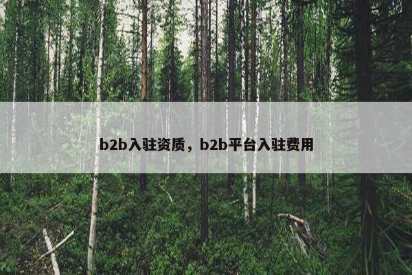 b2b入驻资质，b2b平台入驻费用
