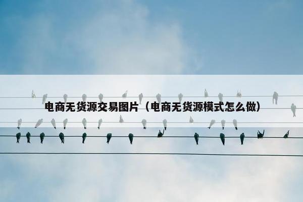 电商无货源交易图片（电商无货源模式怎么做）