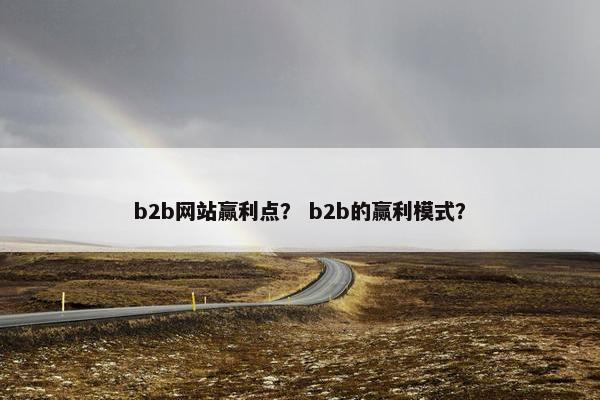 b2b网站赢利点？ b2b的赢利模式？