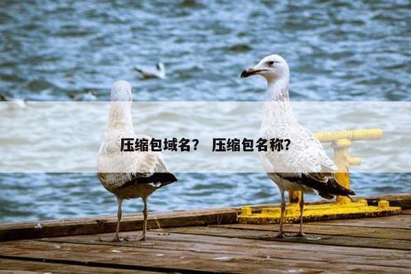 压缩包域名？ 压缩包名称？