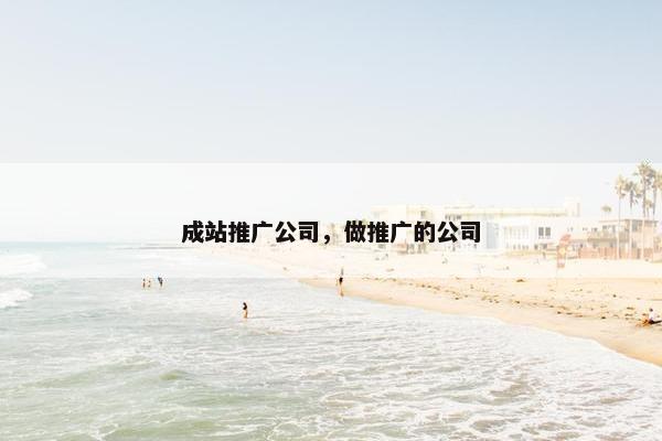 成站推广公司，做推广的公司
