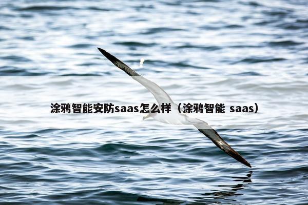 涂鸦智能安防saas怎么样（涂鸦智能 saas）