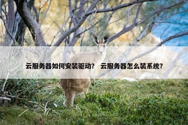 云服务器如何安装驱动？ 云服务器怎么装系统？