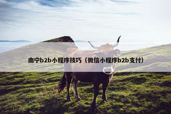 南宁b2b小程序技巧（微信小程序b2b支付）