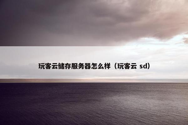 玩客云储存服务器怎么样（玩客云 sd）