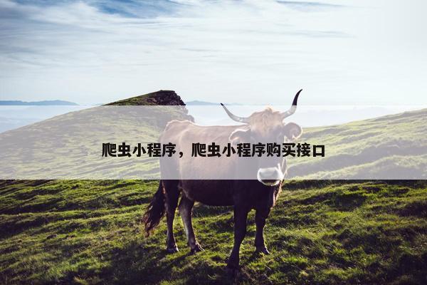 爬虫小程序，爬虫小程序购买接口