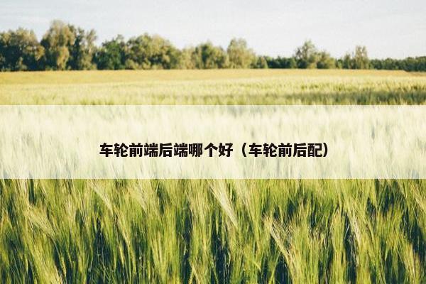 车轮前端后端哪个好（车轮前后配）