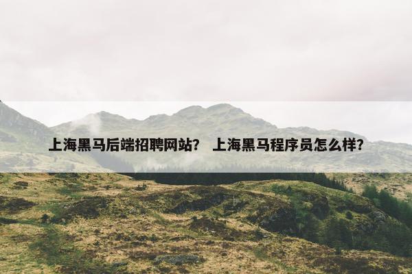 上海黑马后端招聘网站？ 上海黑马程序员怎么样？